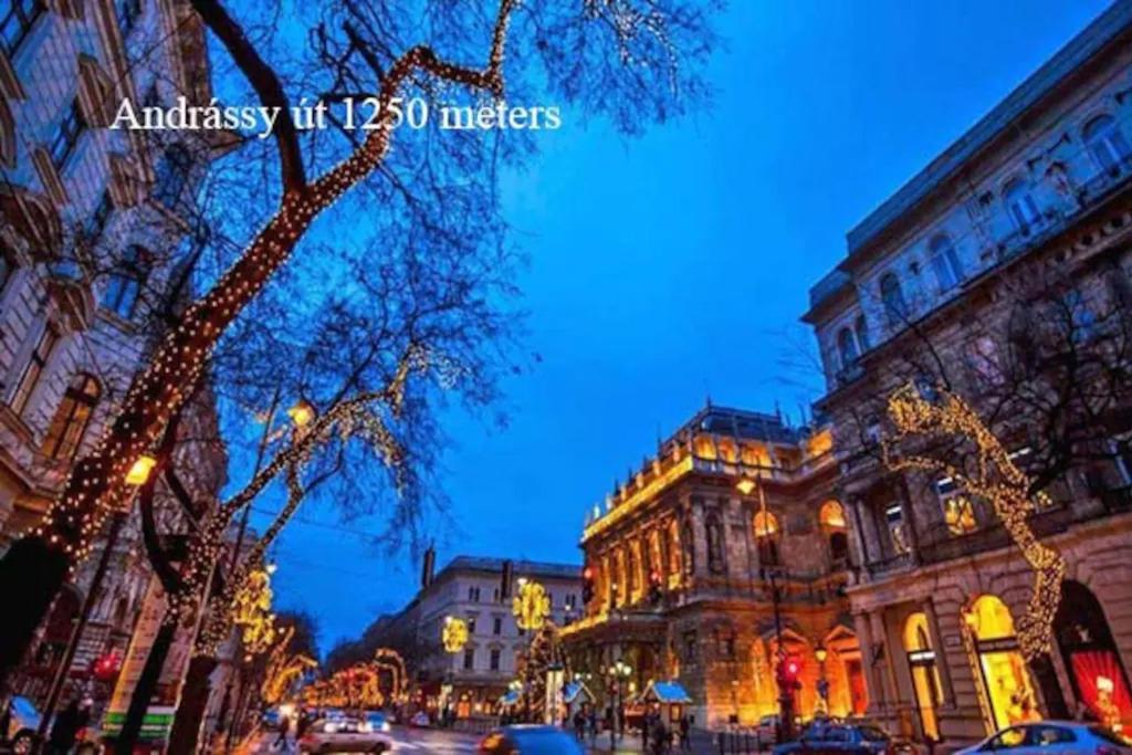 Keleti Apartment City Center Big Flat Bedroom Private Use ブダペスト エクステリア 写真